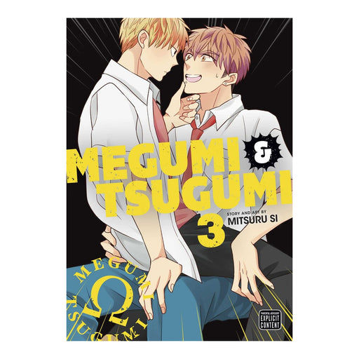 Megumi & Tsugumi Volume 03 Manga Book Front Cover