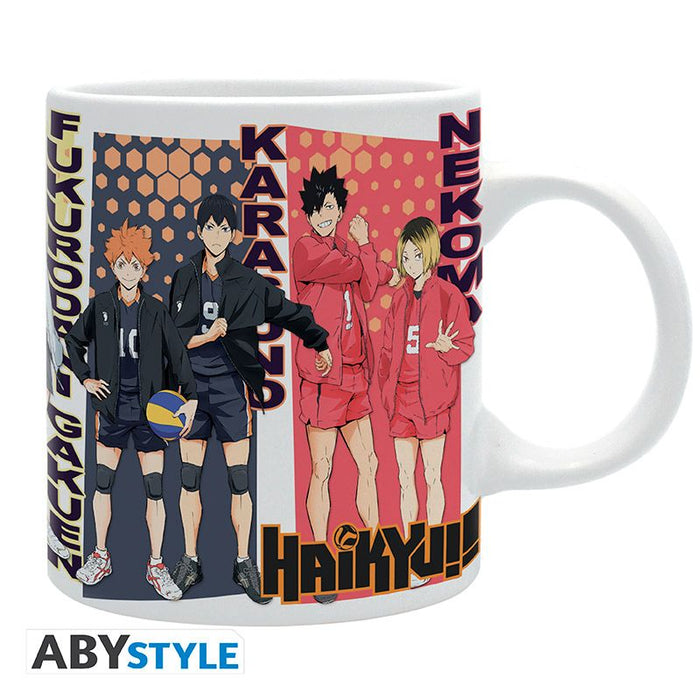 Haikyu!! Rival Teams Mug