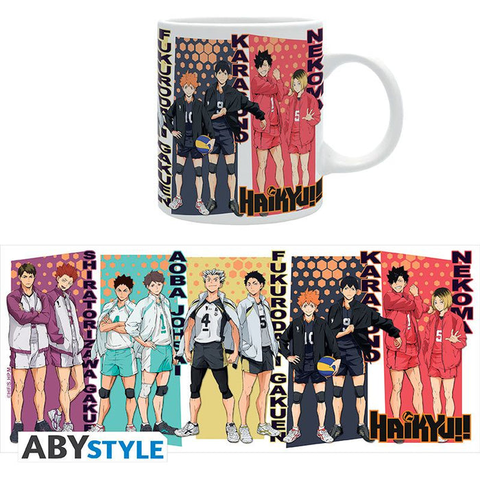 Haikyu!! Rival Teams Mug