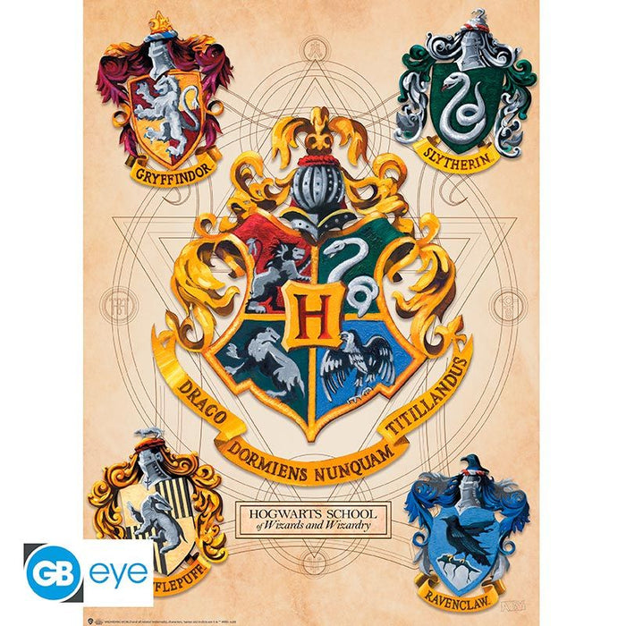 Harry Potter Poster Pack image 2