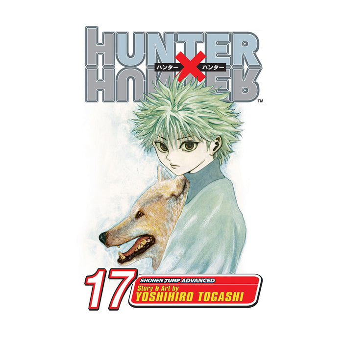 Hunter x Hunter Volume 17 Manga Book Front Cover