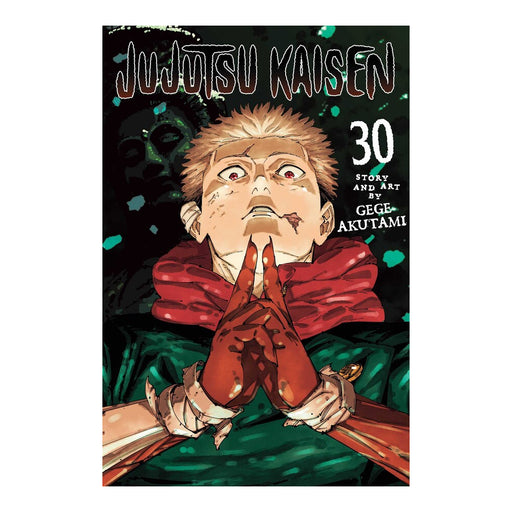 Jujutsu Kaisen Volume 30 Manga Book Front Cover