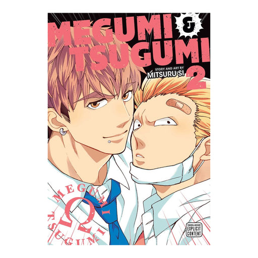 Megumi & Tsugumi vol 2 Manga Book front cover
