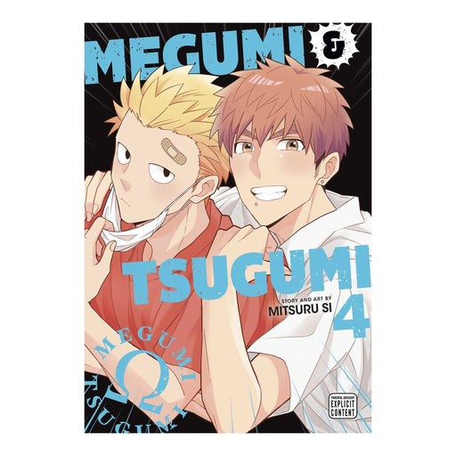 Megumi & Tsugumi Volume 04 Manga Book Front Cover