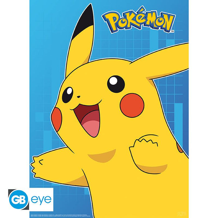 Pokemon Poster Pack image 2