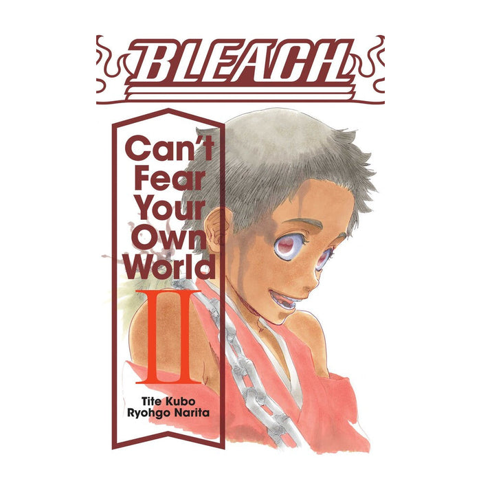 Bleach Can't Fear Your Own World Volume 2 Manga Book Front Cover