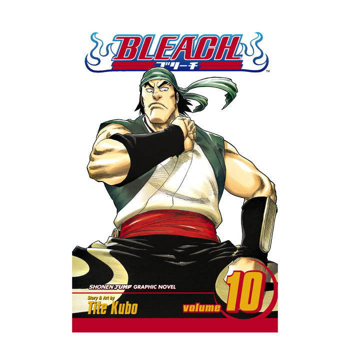 Bleach Volume 10 Manga Book Front Cover