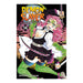 Demon Slayer Kimetsu No Yaiba Volume 14 Manga Book Front Cover
