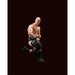 WWE Stone Cold Steve Austin S.H. Figuarts Action Figure 6
